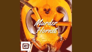 Murder Hornet Lyrics CG5