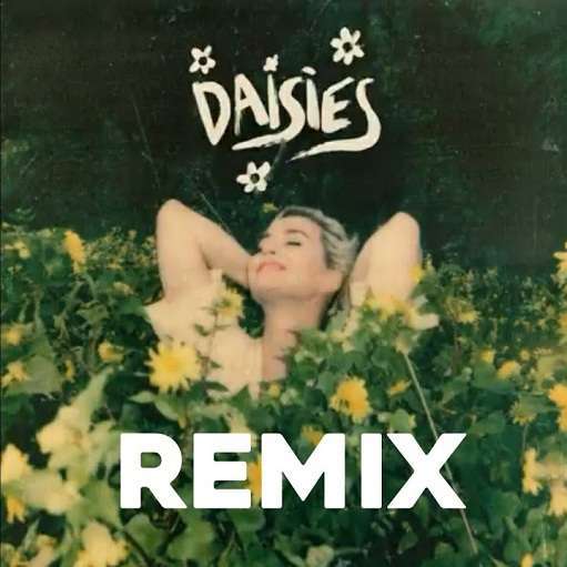 Daisies Remix Lyrics Katy Perry