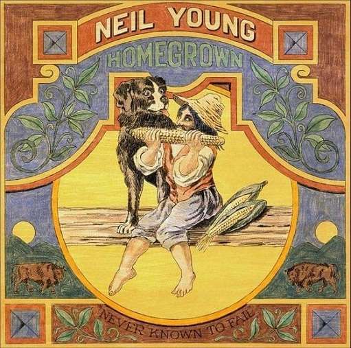 Love Is a Rose Lyrics Neil Young | Homegrown