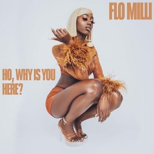 Pussy Cat Doll Lyrics Flo Milli | Ho, why is you here?