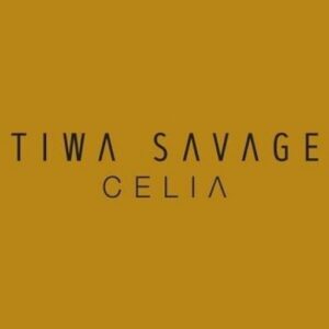 Save My Life Lyrics Tiwa Savage
