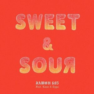 Sweet and Sour Lyrics Jawsh 685