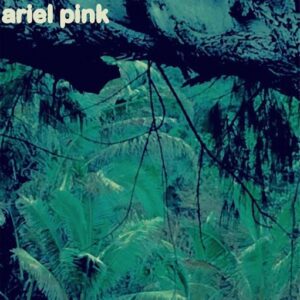 Burned Out Love Lyrics Ariel Pink