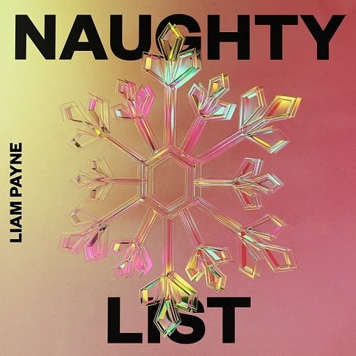 Naughty List Lyrics Liam Payne