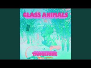 Tangerine Remix Lyrics Glass Animals