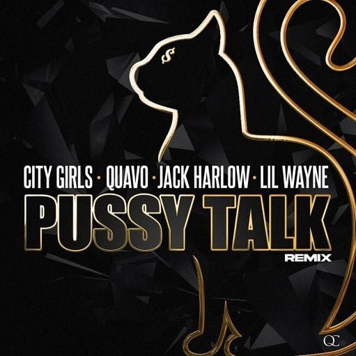 Pussy Talk Remix Lyrics City Girls