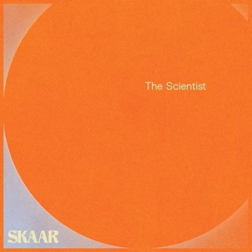 The Scientist Lyrics SKAAR | 2020 Song