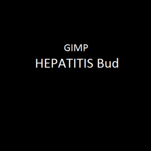GIMP Lyrics HEPATITIS Bud