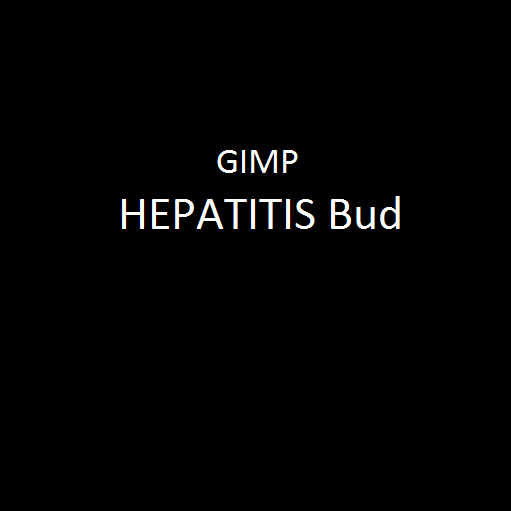GIMP Lyrics HEPATITIS Bud | 2020 Song