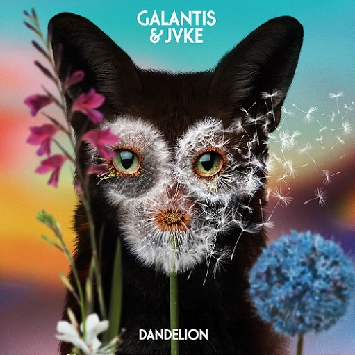 Dandelion Lyrics Galantis & JVKE | 2021 Song