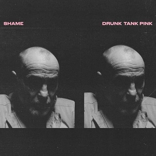 Great Dog Lyrics Shame | Drunk Tank Pink