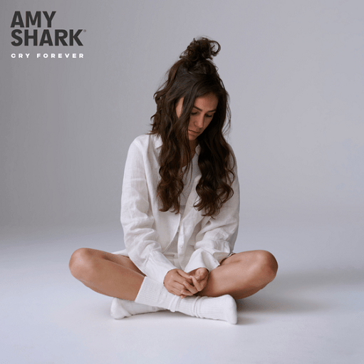 Baby Steps Lyrics Amy Shark | Cry Forever