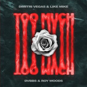 Too Much Lyrics Dimitri Vegas