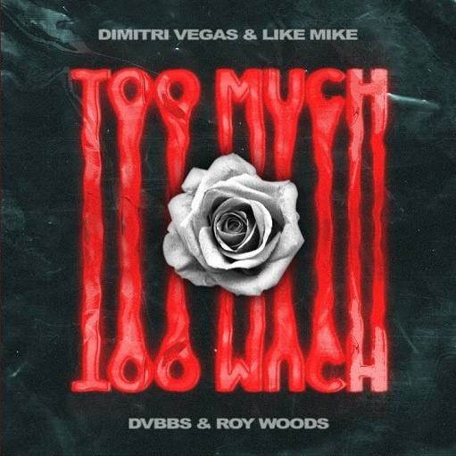 Too Much Lyrics Dimitri Vegas & Like Mike, DVBBS