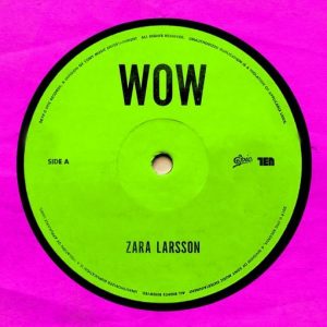 WOW Lyrics Zara Larsson