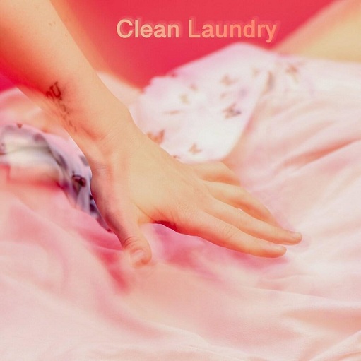 Clean Laundry Lyrics Transviolet ft. DREAMERS