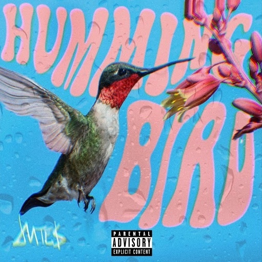 Hummingbird Lyrics Jutes | 2021 Song