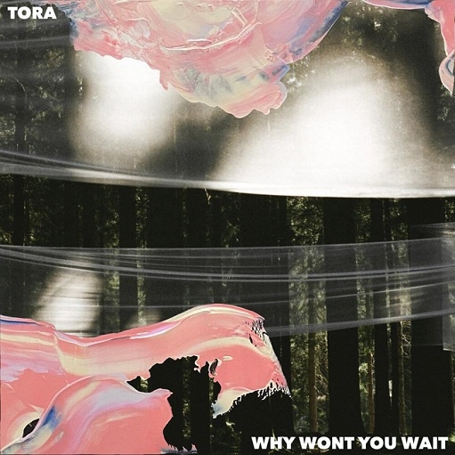 Why Won’t You Wait Lyrics Tora