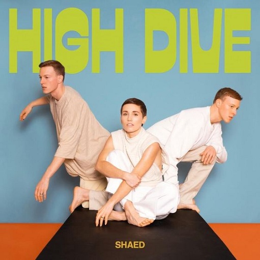 Wish We Had Longer Lyrics SHAED | High Dive