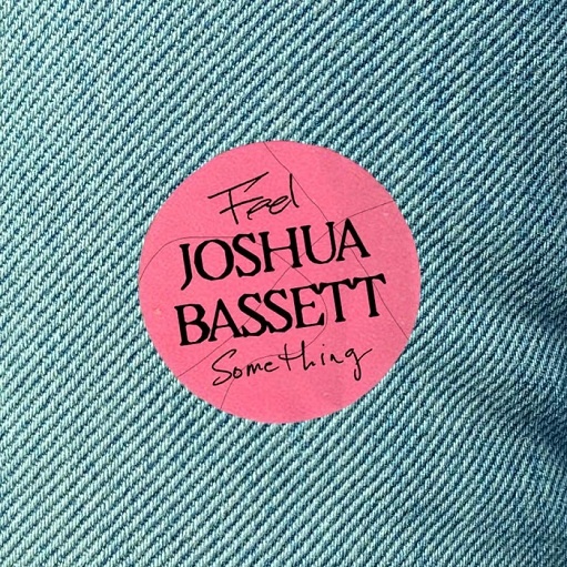 Feel Something Lyrics Joshua Bassett