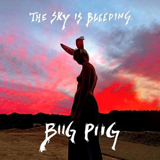 Lavender Lyrics Biig Piig | The Sky is Bleeding