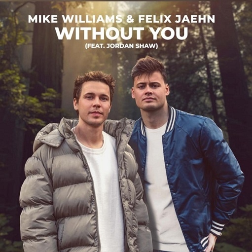 Without You Lyrics Mike Williams & Felix Jaehn