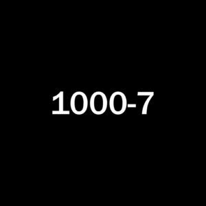 1000-7 Текст песни fem.love