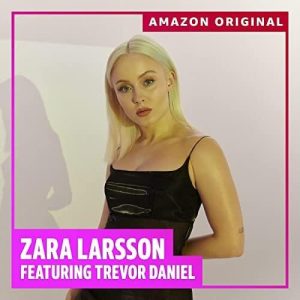 I Need Love Remix Lyrics Zara Larsson