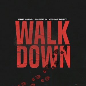 Walk Down Remix Lyrics FNF Chop