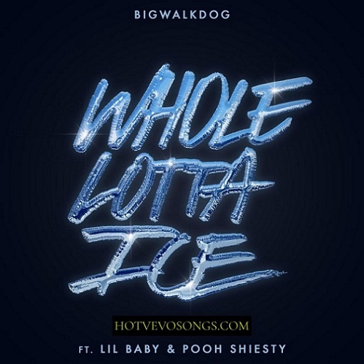 Whole Lotta Ice Lyrics BigWalkDog ft. Lil Baby