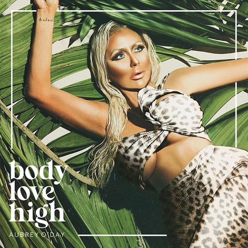 ​​​Body Love High Lyrics Aubrey O’Day