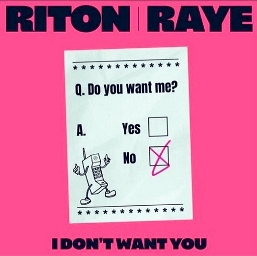 I Don’t Want You Lyrics Riton