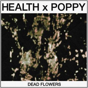 Dead Flowers Lyrics HEALTH