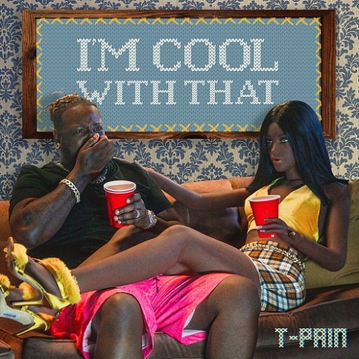 I’m Cool With That Lyrics T-Pain | A Day Out With the Girls