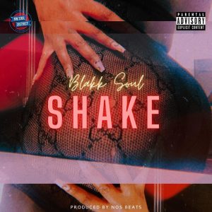 Shake Lyrics Blakk Soul