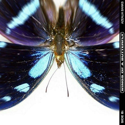 Wings of a Butterfly Lyrics Azealia Banks