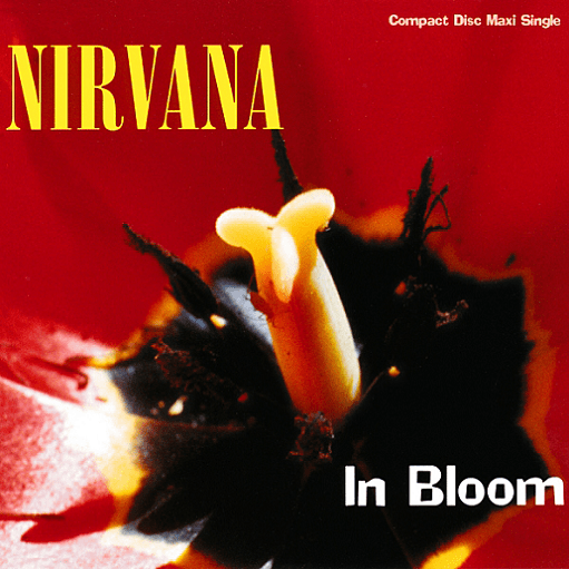 In Bloom Lyrics Nirvana