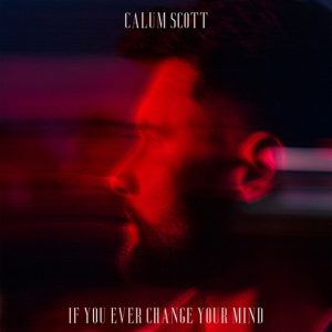 If You Ever Change Your Mind Lyrics Calum Scott
