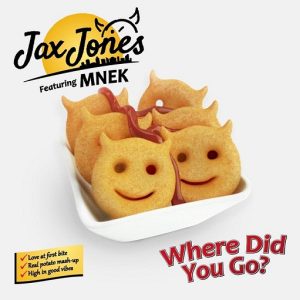 Where Did You Go Lyrics Jax Jones