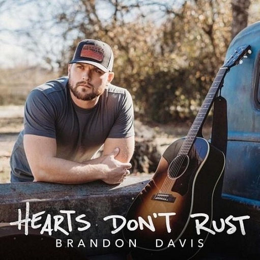 Running Out of Roses Lyrics Brandon Davis