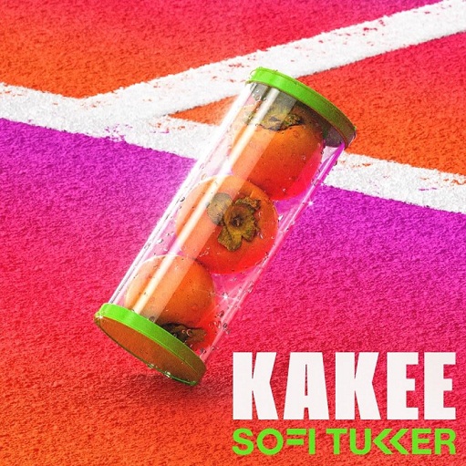 Kakee Lyrics SOFI TUKKER | Wet Tennis