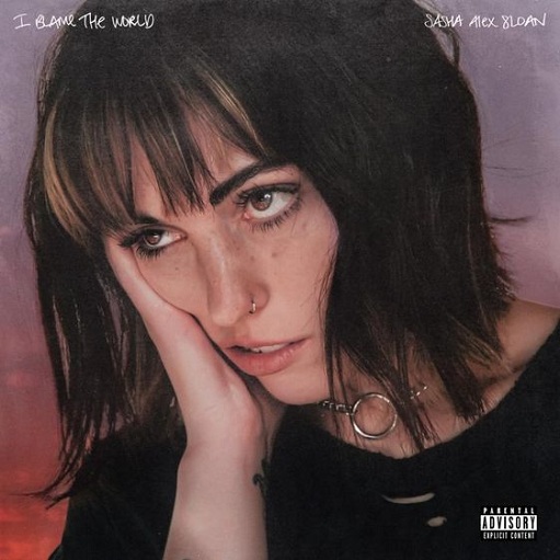 Thank You Lyrics Sasha Alex Sloan | I Blame The World