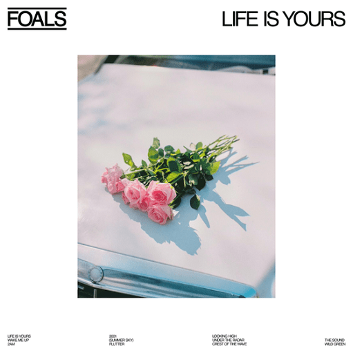 The Sound Lyrics Foals | Life Is Yours