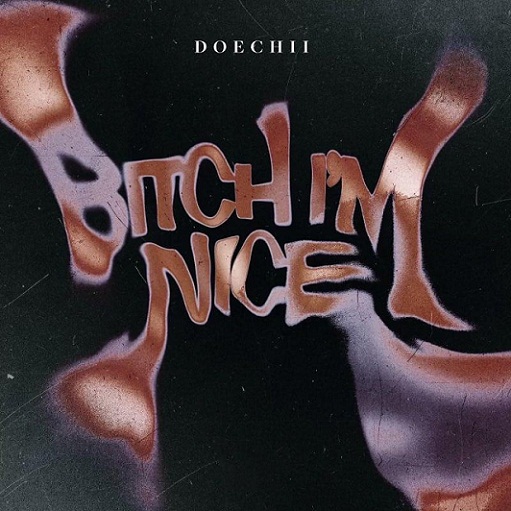 Bitch I’m Nice Lyrics Doechii