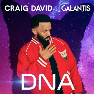 DNA Lyrics Craig David