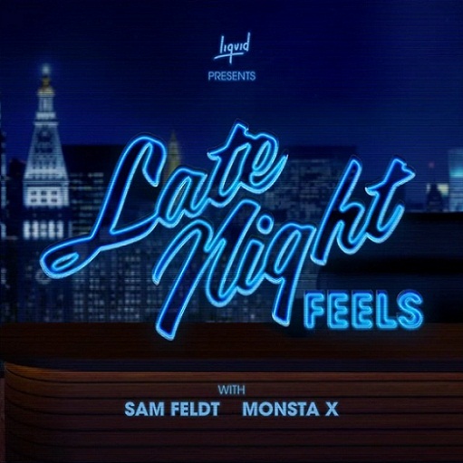 Late Night Feels Lyrics Sam Feldt