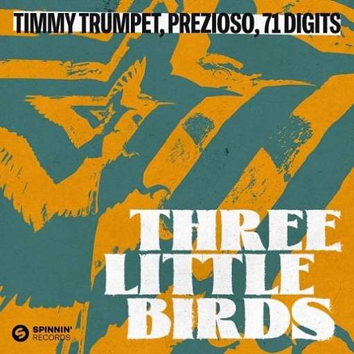 Three Little Birds Lyrics Timmy Trumpet