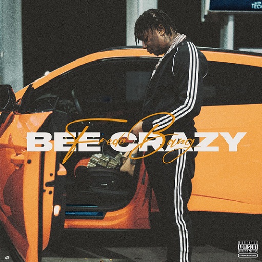 Bee Crazy Lyrics Fredo Bang
