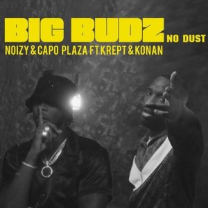 Big Budz No Dust Lyrics Noizy