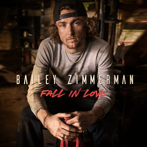 Fall In Love Lyrics Bailey Zimmerman